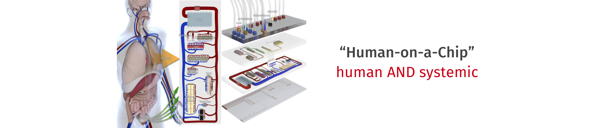 Human-on-a-Chip: The Solution